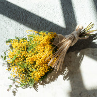 【送料・消費税込み】エメヴァレフルール?&BLANK bracket Special Swag M saize MIMOZA SwagBs00