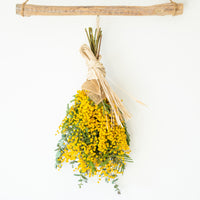 【送料・消費税込み】エメヴァレフルール?&BLANK bracket Special Swag M saize MIMOZA SwagBs00